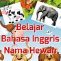 1000 Nama Hewan Dalam Bahasa Inggris Dan Artinya